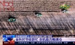 北斗导航助力中国农民丰收，助力实现颗粒归仓